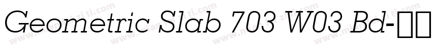 Geometric Slab 703 W03 Bd字体转换
